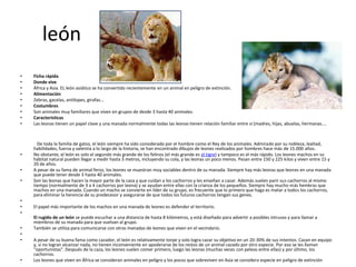 león
•   Ficha rápida
•   Donde vive
•   África y Asia. EL león asiático se ha convertido recientemente en un animal en peligro de extinción.
•   Alimentación
•   Zebras, gacelas, antílopes, girafas...
•   Costumbres
•   Son animales muy familiares que viven en grupos de desde 3 hasta 40 animales.
•   Características
•   Las leonas tienen un papel clave y una manada normalmente todas las leonas tienen relación familiar entre sí (madres, hijas, abuelas, hermanas....



      De toda la familia de gatos, el león siempre ha sido considerado por el hombre como el Rey de los animales. Admirado por su nobleza, lealtad,
    habilidades, fuerza y valentía a lo largo de la historia, se han encontrado dibujos de leones realizados por hombres hace más de 15.000 años.
•   No obstante, el león es solo el segundo más grande de los felinos (el más grande es el tigre) y tampoco es el más rápido. Los leones machos en su
    hábitat natural pueden llegar a medir hasta 3 metros, incluyendo su cola, y las leonas un poco menos. Pesan entre 150 y 225 kilos y viven entre 15 y
    20 de años.
•   A pesar de su fama de animal feroz, los leones se muestran muy sociables dentro de su manada. Siempre hay más leonas que leones en una manada
    que puede tener desde 3 hasta 40 animales.
•   Son las leonas que hacen la mayor parte de la caza y que cuidan a los cachorros y les enseñan a cazar. Además suelen parir sus cachorros al mismo
    tiempo (normalmente de 3 a 4 cachorros por leona) y se ayudan entre ellas con la crianza de los pequeños. Siempre hay mucho más hembras que
    machos en una manada. Cuando un macho se convierte en líder de su grupo, es frecuente que lo primero que haga es matar a todos los cachorros,
    para eliminar la herencia de su predecesor y asegurarse de que todos los futuros cachorros tengan sus genes.
•
•   El papel más importante de los machos en una manada de leones es defender el territorio.
•
    El rugido de un león se puede escuchar a una distancia de hasta 8 kilómetros, y está diseñado para advertir a posibles intrusos y para llamar a
    miembros de su manada para que vuelvan al grupo.
•   También se utiliza para comunicarse con otras manadas de leones que viven en el vecindario.
•
•   A pesar de su buena fama como cazador, el león es relativamente torpe y solo logra cazar su objetivo en un 20-30% de sus intentos. Cazan en equipo
    y, si no logran alcanzar nada, no tienen inconveniente en apoderarse de los restos de un animal cazado por otro especie. Por eso se les llaman
    "oportunistas". Después de la caza, los leones suelen comer primero, luego las leonas (muchas veces con peleas entre ellas) y por último, los
    cachorros.
•   Los leones que viven en África se consideran animales en peligro y los pocos que sobreviven en Asia se considera especie en peligro de extinción
 