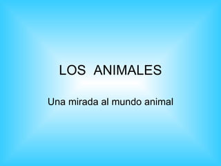 LOS ANIMALES

Una mirada al mundo animal
 