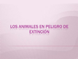 LOS ANIMALES EN PELIGRO DE
        EXTINCIÓN
 