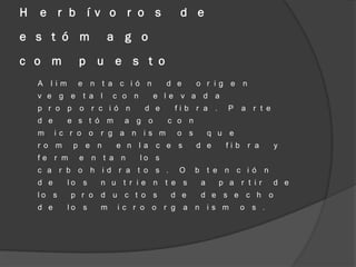 H   e r b í v o r o s                              d e
e s t ó m                      a g o
c o m              p u e s t o
    A   lim        e       n t a c ió n         d e     o r ig e      n
    v e g e            t a l     c o n     e le v a d a
    p r o p        o r c ió n            d e      fib r a .      P    a r t e
    d e       e s t ó m            a g o        c o n
    m     ic r o o           r g a n is m         o s        q u e
    r o m      p       e n       e n la     c e s       d e     fib       r a           y
    fe r m         e       n t a n       lo s
    c a r b o              h id r a t o s .        O    b t e n c ió            n
    d e       lo       s     n u t r ie n       t e s    a     p a r t ir               d e
    lo s      p r o          d u c t o s         d e     d e s e c h                o
    d e       lo       s     m   ic r o o r g         a n is m        o s .
 