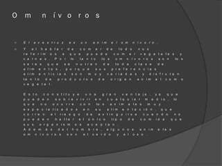 O   m               n í v o r o s


   E l     a v e s t r u z                         e s         u n            a n i m       a     l        o m          n í v o r o .

   Y     a l       h a b l a r                 d e             c o m           e r     d e                to d o              n o s
    re f e r i m              o s       a           q u e              p u      e d e            c o m                  e r      v e g e t a                    le s           y
    c a r n e s .                 P o       r        lo         ta    n t o           lo s       o m                n    í v o      r o       s        s o n           lo s
    s e r e s                q u e          s e           n u t r e n                 d e        to d               a     c la s e                    d e
    a l im      e    n t o s ,                  p o       r q    u e            s u s        p r e f e r e                     n c i a s
    a l im      e    n t ic ia            s          s o n                 m    u y      v a     r i a d a                s       y       d i s f r u t a                  n
    ta n     t o         d e        p r o d u                 c t o s            d e         o r ig                e n        a n     im          a       l     c o m          o
    v e g e t a              l.


    E s t o          c o n          s t i t u y e                     u n a           g r a n                  v e n          t a ja      ,       y a           q u e
    p u e       d e n              s o b            r e   v i v i r             e n      c u a l q u i e r                            m       e d             io ,    lo
    q u e           n o           o c u         r r e           c o n            lo s        a n           im       a    le s          m          u    y
    e s p e c ia l iz a d o                               s      e n            s u      a li m                e    n t a c ió n                  ,        q u e
    c o r r e        n        e l    rie s g o                        d e        e x t in          g u i r s e                    c u a n                     d o      n o
    p u e       d e n              h a l la r                 e l          ú n i c o         ti p          o        d e          c o m                id a           q u e
    s u s          o r g a n i s m                        o s          a c e       p t a n .
    A d    e m           á    s     d e         l     h o m                b r e ,       a lg          u n o s                  a n       im          a       le s
    o m      n í v o r o s                      s o n                e l       c e r d o               y       e l       o s o .
 