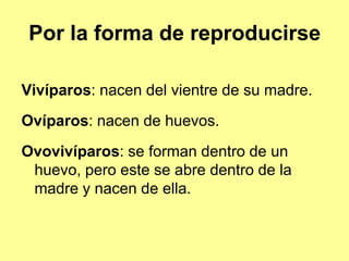 Por la forma de reproducirse

Vivíparos: nacen del vientre de su madre.
Ovíparos: nacen de huevos.
Ovovivíparos: se forman dentro de un
 huevo, pero este se abre dentro de la
 madre y nacen de ella.
 
