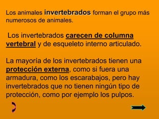 Los animales invertebrados forman el grupo más
numerosos de animales.

Los invertebrados carecen de columna
vertebral y de esqueleto interno articulado.

La mayoría de los invertebrados tienen una
protección externa, como si fuera una
armadura, como los escarabajos, pero hay
invertebrados que no tienen ningún tipo de
protección, como por ejemplo los pulpos.
 