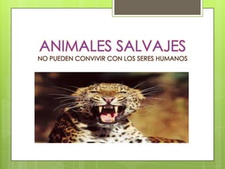 ANIMALES SALVAJES
NO PUEDEN CONVIVIR CON LOS SERES HUMANOS
 