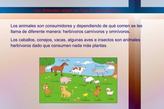 Los Animales según su Tipo de Alimentación.


Los animales son consumidores y dependiendo de qué comen se les
llama de diferente manera: herbívoros carnívoros y omnívoros.
Los caballos, conejos, vacas, algunas aves e insectos son animales
herbívoros dado que consumen nada más plantas.
 