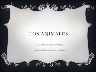 LOS ANIMALES

    Los animales tienen diferentes

 caracteristicas:Domesticos y Salvajes.
 