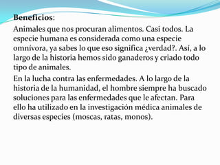 Beneficios:
Animales que nos procuran alimentos. Casi todos. La
especie humana es considerada como una especie
omnívora, ya sabes lo que eso significa ¿verdad?. Así, a lo
largo de la historia hemos sido ganaderos y criado todo
tipo de animales.
En la lucha contra las enfermedades. A lo largo de la
historia de la humanidad, el hombre siempre ha buscado
soluciones para las enfermedades que le afectan. Para
ello ha utilizado en la investigación médica animales de
diversas especies (moscas, ratas, monos).
 
