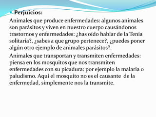  Perjuicios:
Animales que produce enfermedades: algunos animales
son parásitos y viven en nuestro cuerpo causándonos
trastornos y enfermedades: ¿has oído hablar de la Tenia
solitaria?, ¿sabes a que grupo pertenece?, ¿puedes poner
algún otro ejemplo de animales parásitos?.
Animales que transportan y transmiten enfermedades:
piensa en los mosquitos que nos transmiten
enfermedades con su picadura: por ejemplo la malaria o
paludismo. Aquí el mosquito no es el causante de la
enfermedad, simplemente nos la transmite.
 