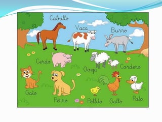 Los animales blogger