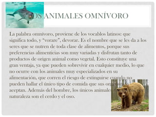 LOS ANIMALES OMNÍVORO

La palabra omnívoro, proviene de los vocablos latinos: que
significa todo, y “vorare”, devorar. Es el nombre que se les da a los
seres que se nutren de toda clase de alimentos, porque sus
preferencias alimenticias son muy variadas y disfrutan tanto de
productos de origen animal como vegetal. Esto constituye una
gran ventaja, ya que pueden sobrevivir en cualquier medio, lo que
no ocurre con los animales muy especializados en su
alimentación, que corren el riesgo de extinguirse cuando no
pueden hallar el único tipo de comida que sus organismos
aceptan. Además del hombre, los únicos animales omnívoros por
naturaleza son el cerdo y el oso.
 