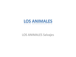 LOS ANIMALES

LOS ANIMALES Salvajes
 