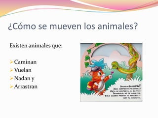 ¿Cómo se mueven los animales?
Existen animales que:

 Caminan
 Vuelan
 Nadan y
 Arrastran
 