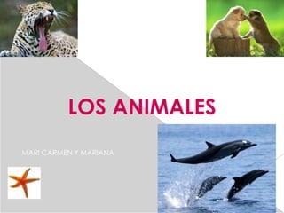 LOS ANIMALES
MARI CARMEN Y MARIANA
 