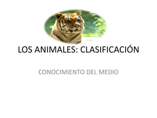 LOS ANIMALES: CLASIFICACIÓN

    CONOCIMIENTO DEL MEDIO
 