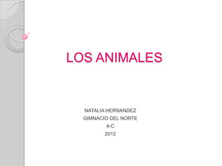 LOS ANIMALES


  NATALIA HERNANDEZ
  GIMNACIO DEL NORTE
         4-C
         2012
 