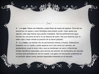    Los ojos: Deben ser brillantes y estar libres de restos de legañas. Para ello los
lavaremos con gasas y suero fisiológico para lavado ocular; mejor gasas que
algodón, éste deja hebras que pueden molestarle. Servirá perfectamente agua
hervida con una pizca de sal si no se dispone de suero. Hay que observar que no
estén rojos o haya variado la posición de su tercer párpado.
 b) La boca: Los dientes han de permanecen enteros y limpios. Deberíamos
limpiarlos con un cepillo y pasta especial una o dos veces por semana, así
ayudaríamos a que le duren más y que se mantengan sin sarro o infecciones.
Existen dentífricos especiales, pero servirá una solución de clorhexidina (en solución
acuosa) para lavárselos de vez en cuando. Los gatos con frecuentes problemas en
su dentición deben comer piensos especiales existentes en el mercado.
 