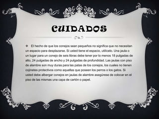 CUIDADOS
 El hecho de que los conejos sean pequeños no significa que no necesitan
un espacio para desplazarse. Si usted tiene el espacio, utilícelo. Una jaula o
un lugar para un conejo de seis libras debe tener por lo menos 18 pulgadas de
alto, 24 pulgadas de ancho y 24 pulgadas de profundidad. Las jaulas con piso
de alambre son muy duras para las patas de los conejos, los cuales no tienen
cojinetes protectivos como aquellas que poseen los perros o los gatos. Si
usted debe albergar conejos en jaulas de alambre asegúrese de colocar en el
piso de las mismas una capa de cartón o papel.
 