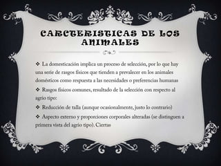 CARCTERISTICAS DE LOS
          ANIMALES










 
