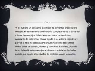  Si hubiera un esquema piramidal de alimentos creado para
conejos, el heno timothy conformaría completamente la base del
mismo. Los conejos deben tener acceso a un suministro
constante de este heno, el cual ayuda a su sistema digestivo y
provée la fibra necesaria para prevenir enfermedades tales
como, bolas de cabello, diarrea y obesidad. La alfalfa, por otro
lado, debe dársele a conejos adultos en cantidades limitadas
puesto que posée altos niveles de proteína, calcio y calorías.
 