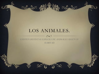 LOS ANIMALES.
EXISTEN DISTINTAS ESPECIES DE ANIMALES SEGÚN SU
                   HABITAD.
 