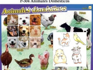 Viva los animales.
 