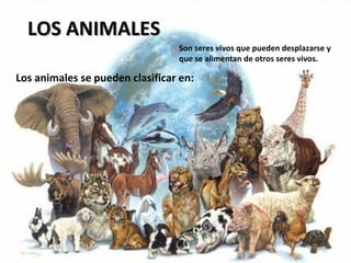 LOS ANIMALES
                                 Son seres vivos que pueden desplazarse y
                                 que se alimentan de otros seres vivos.

Los animales se pueden clasificar en:
 