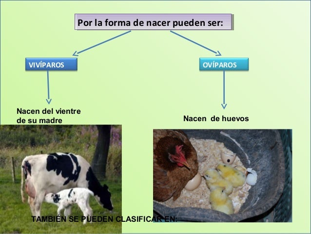 Conociendo Animales Mayo 2014