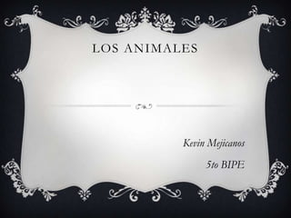 LOS ANIMALES




          Kevin Mejicanos
               5to BIPE
 