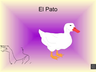 El Pato
 