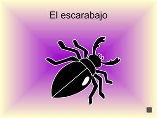 El escarabajo
 