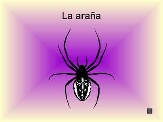 La araña
 