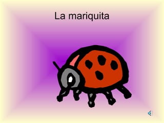 La mariquita
 