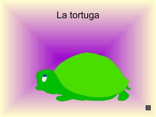 La tortuga
 