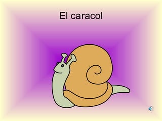 El caracol
 