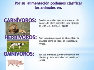 Son los animales que se alimentan de
carne, de otros animales por ejemplo
el león , el tigre, el águila
Son los animales que se alimentan de
plantas como la vaca, el caballo, la
oveja.
Son los animales que se alimentan de
plantas y otros animales el cerdo, el
jabalí.
 