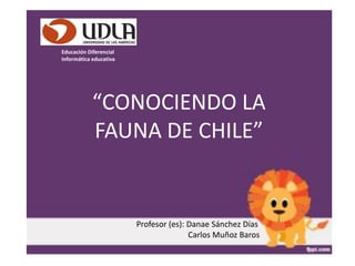 “CONOCIENDO LA
FAUNA DE CHILE”
Educación Diferencial
Informática educativa
Profesor (es): Danae Sánchez Días
Carlos Muñoz Baros
 