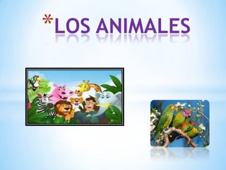 *LOS ANIMALES
 