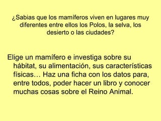 ¿Sabias que los mamíferos viven en lugares muy
diferentes entre ellos los Polos, la selva, los
desierto o las ciudades?
Elige un mamífero e investiga sobre su
hábitat, su alimentación, sus características
físicas… Haz una ficha con los datos para,
entre todos, poder hacer un libro y conocer
muchas cosas sobre el Reino Animal.
 