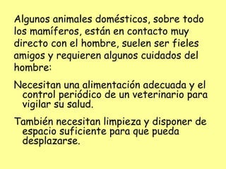 Algunos animales domésticos, sobre todo
los mamíferos, están en contacto muy
directo con el hombre, suelen ser fieles
amigos y requieren algunos cuidados del
hombre:
Necesitan una alimentación adecuada y el
control periódico de un veterinario para
vigilar su salud.
También necesitan limpieza y disponer de
espacio suficiente para que pueda
desplazarse.
 