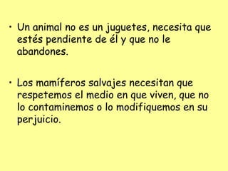• Un animal no es un juguetes, necesita que
estés pendiente de él y que no le
abandones.
• Los mamíferos salvajes necesitan que
respetemos el medio en que viven, que no
lo contaminemos o lo modifiquemos en su
perjuicio.
 