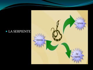  LA SERPIENTE