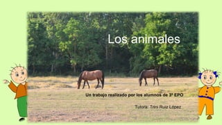Los animales

Un trabajo realizado por los alumnos de 3º EPO
Tutora: Trini Ruiz López

 