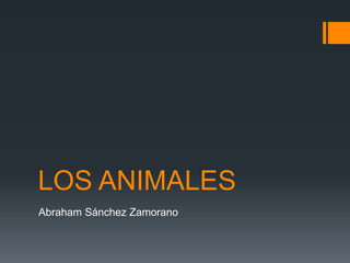 LOS ANIMALES
Abraham Sánchez Zamorano

 