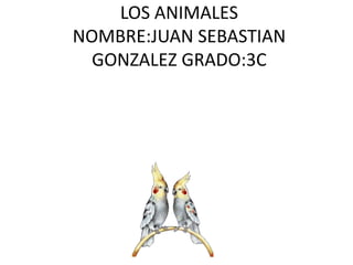 LOS ANIMALES
NOMBRE:JUAN SEBASTIAN
GONZALEZ GRADO:3C

 