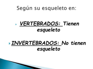  VERTEBRADOS: Tienen
esqueleto
 INVERTEBRADOS: No tienen
esqueleto
 