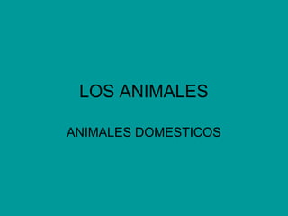LOS ANIMALES
ANIMALES DOMESTICOS
 