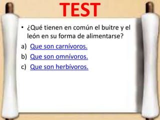 TEST
• ¿Qué tienen en común el buitre y el
león en su forma de alimentarse?
a) Que son carnívoros.
b) Que son omnívoros.
c) Que son herbívoros.
 