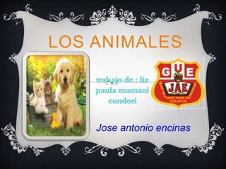 LOS ANIMALES 
Jose antonio encinas 
 