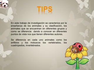 En este trabajo de investigación se caracteriza por la 
enseñanza de los animales y su clasificación, los 
animales que se encuentran en diferentes grupos y 
como se diferencia dando a conocer en diferentes 
puntos de vista nos que tienen diferentes autores. 
Se diferencia en cada uno animales como los 
anfibios y los moluscos los vertebrados, los 
cuadrúpedos, invertebrados. 
 