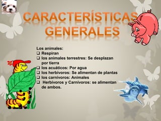Los animales: 
 Respiran 
 los animales terrestres: Se desplazan 
por tierra 
 los acuáticos: Por agua 
 los herbívoros: Se alimentan de plantas 
 los carnívoros: Animales 
 Herbívoros y Carnívoros: se alimentan 
de ambos. 
 